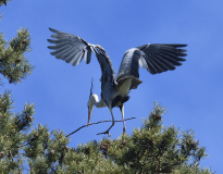 Grahager_20210406_1046_02