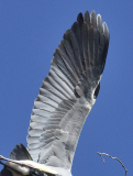 Grahager_20220401_1021_10